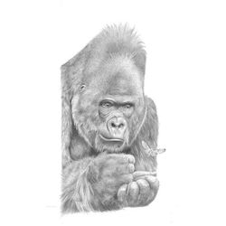 Hildick, Peter - signed and numbered print