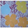 Image 1 : Warhol, Andy - FLOWERS screenprint