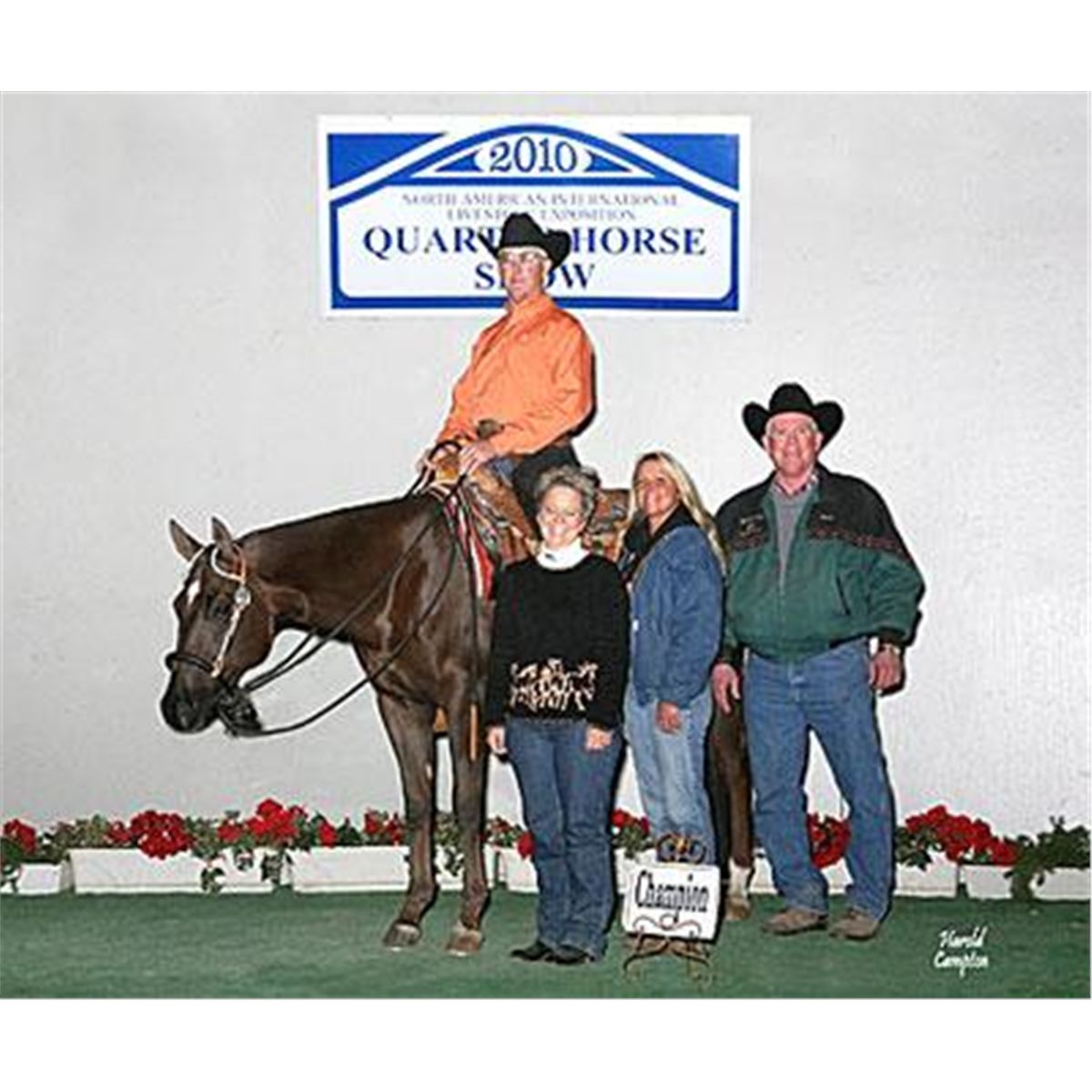 Shes One Hot Krymsun 08 Chestnut AQHA Mare