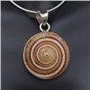 Image 1 : Polished Shell & Sterling Necklace Earrings (JEW-199)