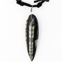 Ammonite Fossil Choker Necklace (JEW-2958)