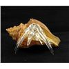 Image 1 : Hand Formed Glass Hermit Crab (DEC-388)