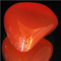 18.1ct Carnelian Freeform Cabochon (GEM-34076)