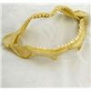 Image 1 : Shark Jaw