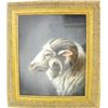 Image 1 : Catherine Moore Waters Ram watercolor