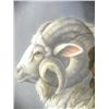 Image 2 : Catherine Moore Waters Ram watercolor