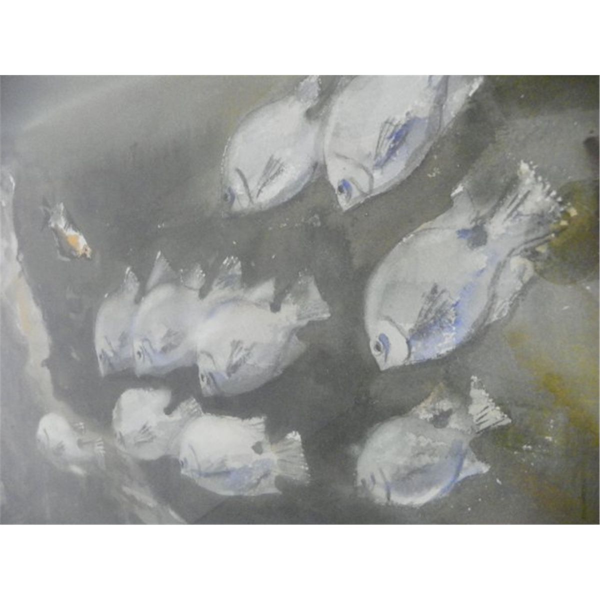 Armand Trivilini Tropical Fish Watercolor Painting