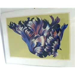 Lowell Nesbitt Flower lithograph