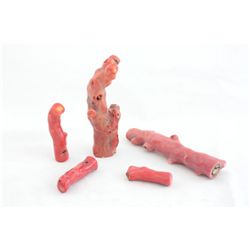 Bag of 5 pieces of beautiful coral trees