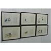 Image 1 : Set of 6 Chinese framed watercolors on rice paper