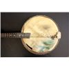 Image 2 : Banjo mandolin