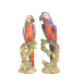 Pair Italian Majolica "Parrots" signed