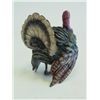 Image 3 : Cold patinated Viennese bronze of "Turkey"