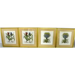 4 gilt framed "Botanical" prints