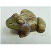 Image 1 : Chinese jade frog