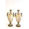 Image 1 : Early 20th c. pair Austrian urns