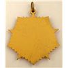 Image 2 : AFGHANISTAN WOUND BADGE AWARD MEDAL STAR 7 STARBURST