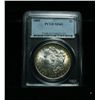 Image 1 : PCGS 1889-p Morgan Dollar graded Select Uncirculated ms63  Beautiful Rim Toning