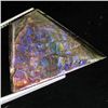 Image 1 : 12.85ct Rare Glowing Multi-color Ammonite Triplet (GEM-31991)