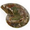 Image 2 : 720ct Opalized Crystalized Lg Ammonite Cut Half (MIN-000018)