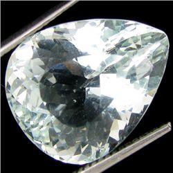 13.85ct Gorgeous Aquamarine  (GEM-19280)