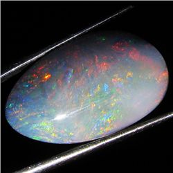 11.75ct Australian Black Opal Doublet Full Fire (GEM-36240)