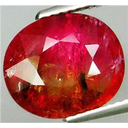 5.11ct Natural Bi-Color Watermelon Tourmaline (GEM-29942)