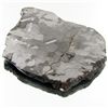Image 1 : 97g Campo Del Cielo Meteorite Slice (MIN-000521)