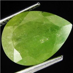 7.21ct Rich Green Natural Rare Demantoid Garnet (GEM-29426)