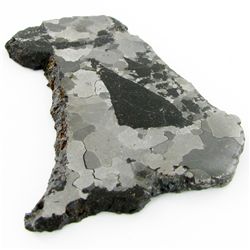 95g Campo Del Cielo Meteorite Slice (MIN-000522)
