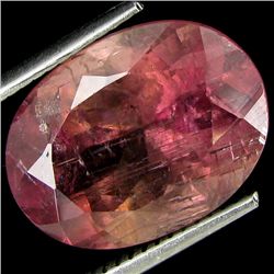 7.54ct Awesome Copper Bearing Pink Tourmaline (GEM-18752)