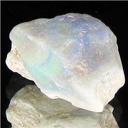 7.9ct Austrailian Opal Rough (GEM-40959)