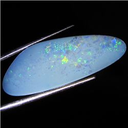 10.25ct Australian Black Opal Doublet Full Fire (GEM-36571)