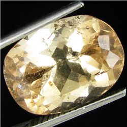 13.05ct Chanpaigne Imperial Topaz (GEM-35725)