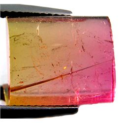 10.77ct Wonderful Watermelon Bi Color Tourmaline (GEM-10267)