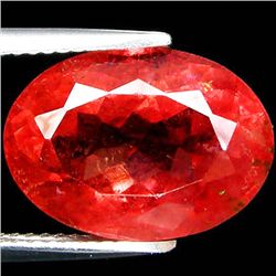 8.95ct  Padparascha Color Cuprian Tourmaline (GEM-35241)