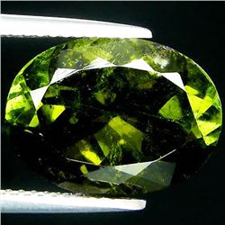 7.27ct  Oval Cut Green Tourmaline  (GEM-35259)