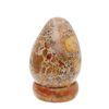 Image 1 : Large Fossilized Stone on Marble Base  (DEC-234)