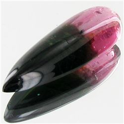 30.95ct Watermelon Tourmaline Pear Cabochon (GEM-23013)