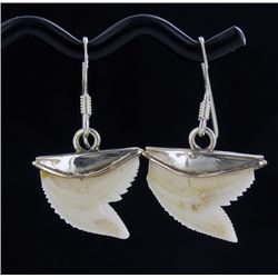 Sterling Shark Ivory Earrings (JEW-1957)