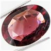 Image 1 : 14.42ct  Oval Cut Red Tourmaline (GEM-33458)