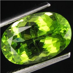 4.72ct Sparkling Green Natural Pakistan Peridot (GEM-25966)