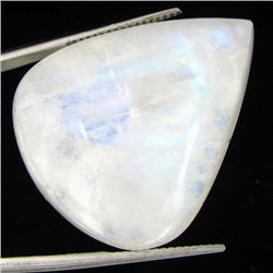 43.10ct Vibrant Color Moonstone Cabochon (GEM-32006)