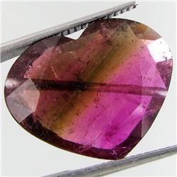 9.81ct Watermelon Tourmaline Heart (GEM-27093)