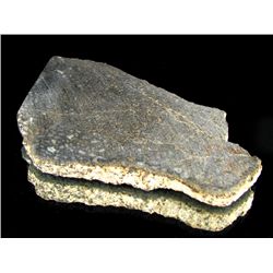 610ct Dinosaur Bone Cut Slab (MIN-000463)