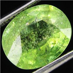 2.7ct Cuprian Tourmaline Oval (GEM-29992B)