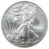 Image 1 : 1 oz. Random Date UNC US Silver Eagle