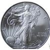 Image 1 : 1 oz. Random Date UNC US Silver Eagle