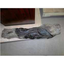 Carved Log
