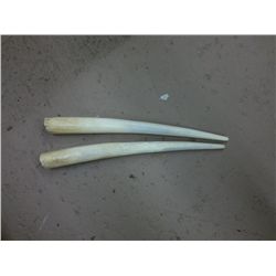 Two movie made tusks